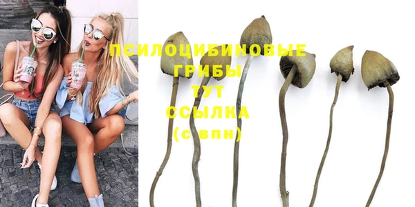 бошки Покров