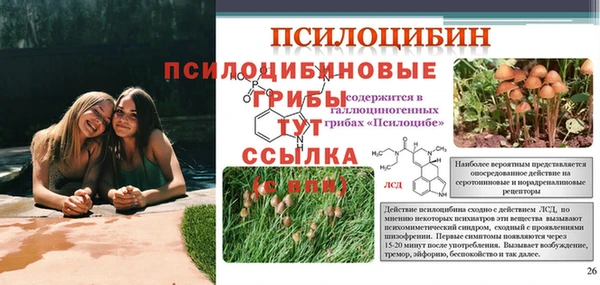 индика Покровск