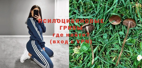 бошки Покров