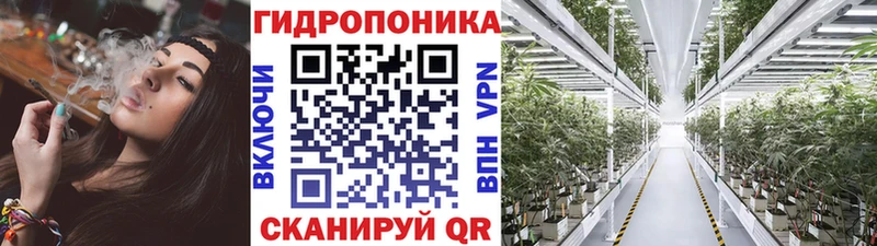 маркетплейс официальный сайт  Серафимович  Бошки Шишки OG Kush  ОМГ ОМГ как войти 